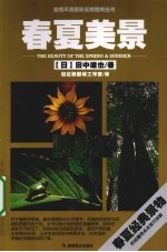 春夏美景实例