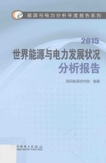 世界能源与电力发展状况分析报告 2015