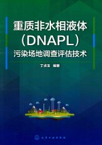 重质非水相液体(DNAPL)污染场地调查评估技术