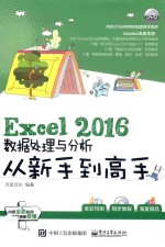 Excel 2016数据处理与分析从新手到高手