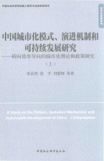 中国城市化模式、演进机制和可持续发展研究 转向效率导向的城市化理论和政策研究 上
