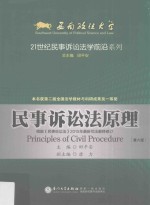 21世纪民事诉讼法学前沿 民事诉讼法原理