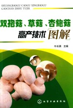 双孢菇草菇杏鲍菇高产技术图解