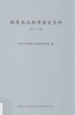 魏晋南北朝隋唐史资料 第26辑