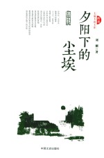 跨度长篇小说文库 夕阳下的尘埃