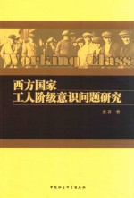 西方国家工人阶级意识问题研究