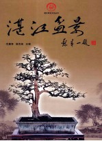 湛江历史文化丛书 湛江盘景