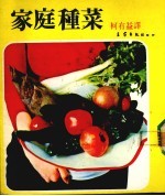 家庭种菜
