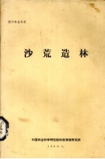 沙荒造林