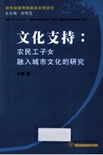 文化支持 农民工子女融入城市文化的研究