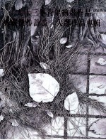 文建会“九十三年青年绘画作品典藏征件计划”入选作品专辑