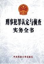 刑事犯罪认定与侦查实务全书 4