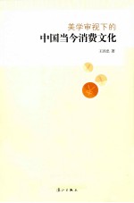 美学审视下的中国当今消费文化