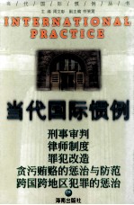当代国际惯例 第6卷 刑事审判 律师制度 罪犯改造 贪污贿赂的惩治与防范 跨国跨地区犯罪的惩治