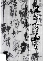 王俊松书画集 书法卷 书法作品 书法论文