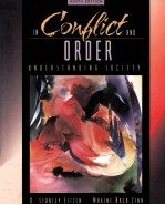 IN CONFLICT AND ORDER UNDERSTANDING SOCIETY NINTH EDITION