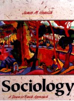 SOCIOLOGY A DOWN-TO-EARTH APPROACH