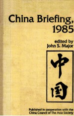 CHINA BRIEFING
