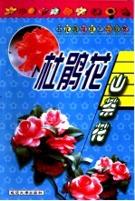 名花栽培技艺与欣赏 杜鹃花 山茶花