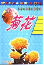 名花栽培技艺与欣赏 菊花