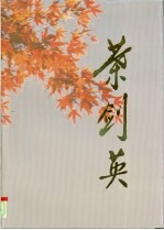 叶剑英 摄影集