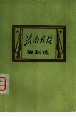 济南战役资料选