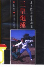 三皇炮捶 北京镖局拳术功法