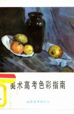 美术高考色彩指南