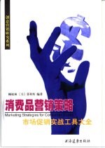 消费品营销策略 市场促销实战工具大全