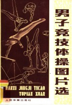 男子竞技体操技术图片选