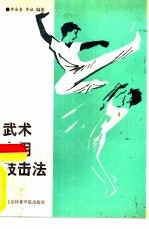 武术实用技击法