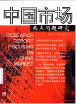 中国市场热点问题研究