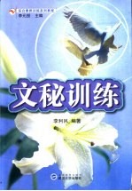 文秘训练