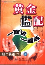 黄金搭配:一面讲一面练 初二英语 下