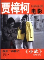 贾樟柯电影 小武