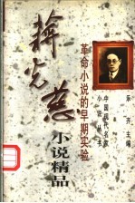 蒋光慈小说精品 革命小说的早期实验