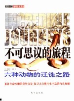 不可思议的旅程 六种动物的迁徙之路