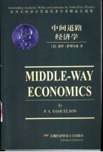 中间道路经济学 英文