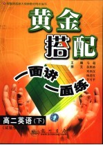 黄金搭配：一面讲一面练 高二英语 下