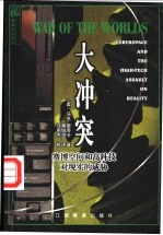 大冲突 赛博空间和高科技对现实的威胁