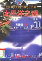 太平洋之魂 走向21世纪的中国电子名家