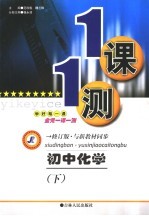 一课一测 初中化学 下