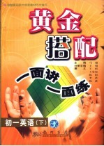 黄金搭配:一面讲一面练 初一英语 下