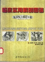 临床实用解剖图谱 盆部及会阴部分册