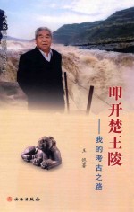 叩开楚王陵 我的考古之路