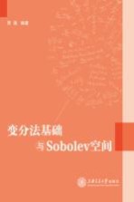 变分法基础与Sobolev空间
