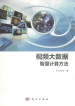 视频大数据智慧计算方法