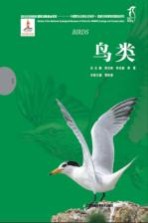 鸟类