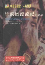 鲁滨逊漂流记 全译本