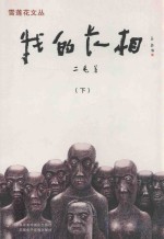 我的长相 下